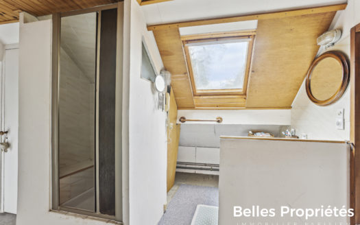 Maison de caractère, Seine-et-Marne / Saint-Fargeau – Hameau de Villers