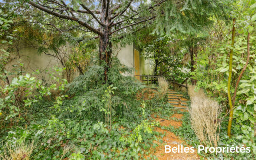 Maison Issy-les-Moulineaux, MONTEZY