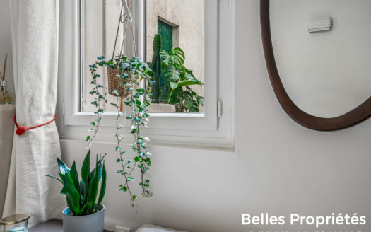 Appartement Paris 15, CHARLES MICHELS