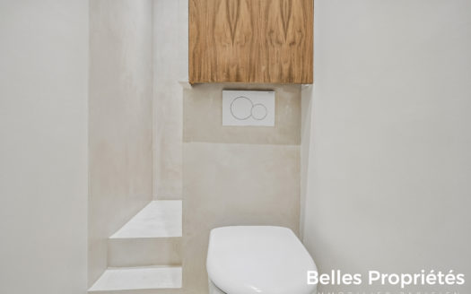 Appartement Paris 15, CHARLES MICHELS