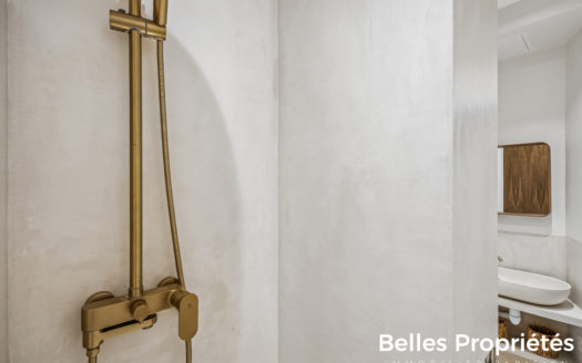 Appartement Paris 15, CHARLES MICHELS