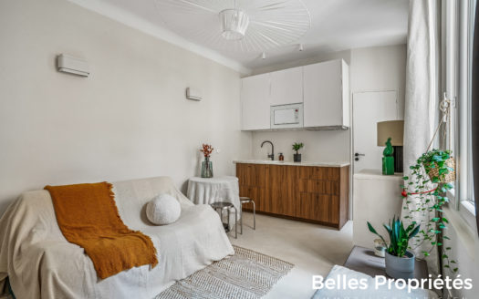 Appartement Paris 15, CHARLES MICHELS
