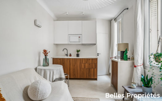 Appartement Paris 15, CHARLES MICHELS