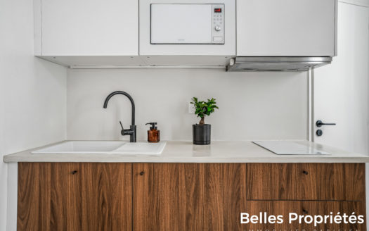 Appartement Paris 15, CHARLES MICHELS
