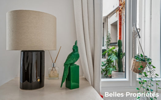Appartement Paris 15, CHARLES MICHELS